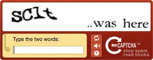 word test captcha entry solving