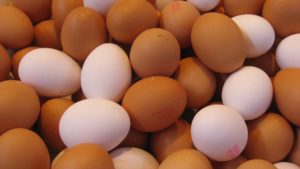 chickens eggs