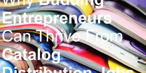 Why Budding Entrepreneurs Can Thrive From Catalog Distribution Jobs picture biller billing brochure business business cards catalog deliver delivery distributing distribution distributor door drop earn entrepreneur flyer jobs leaflet leafleter magazine make money marketing menus newspaper poster sell selling