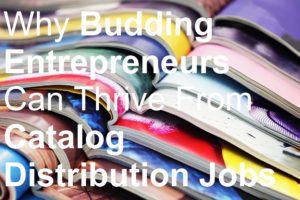 Why Budding Entrepreneurs Can Thrive From Catalog Distribution Jobs picture biller billing brochure business business cards catalog deliver delivery distributing distribution distributor door drop earn entrepreneur flyer jobs leaflet leafleter magazine make money marketing menus newspaper poster sell selling