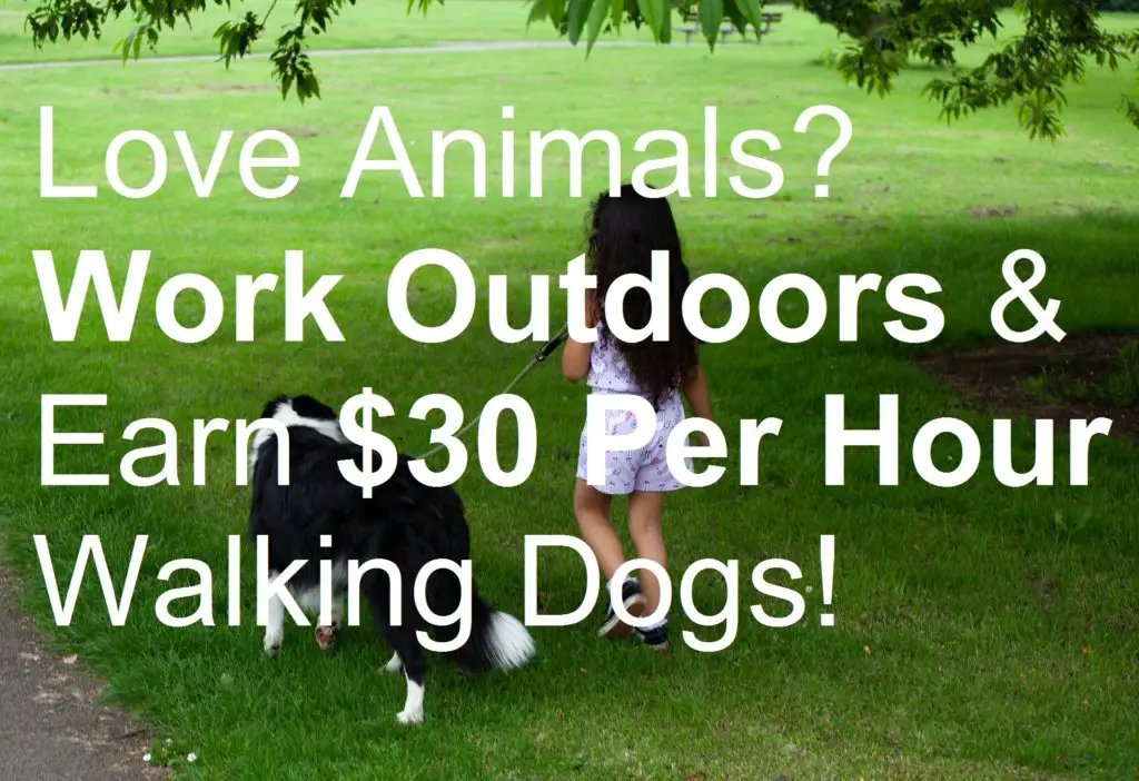 Love Animals Work Outdoors Earn $30 Per Hour Walking Dogs picture child with dog animal app apps behavior behaviour business canine city client clients country countryside customer customers discipline exercise experience fit fitness freelance freelancer health healthy job jobs license make money market marketing knowledge outdoor owner owners pet pets promote promoting rover rural skills social media trust trustworthy walk websites welfare wellbeing workload